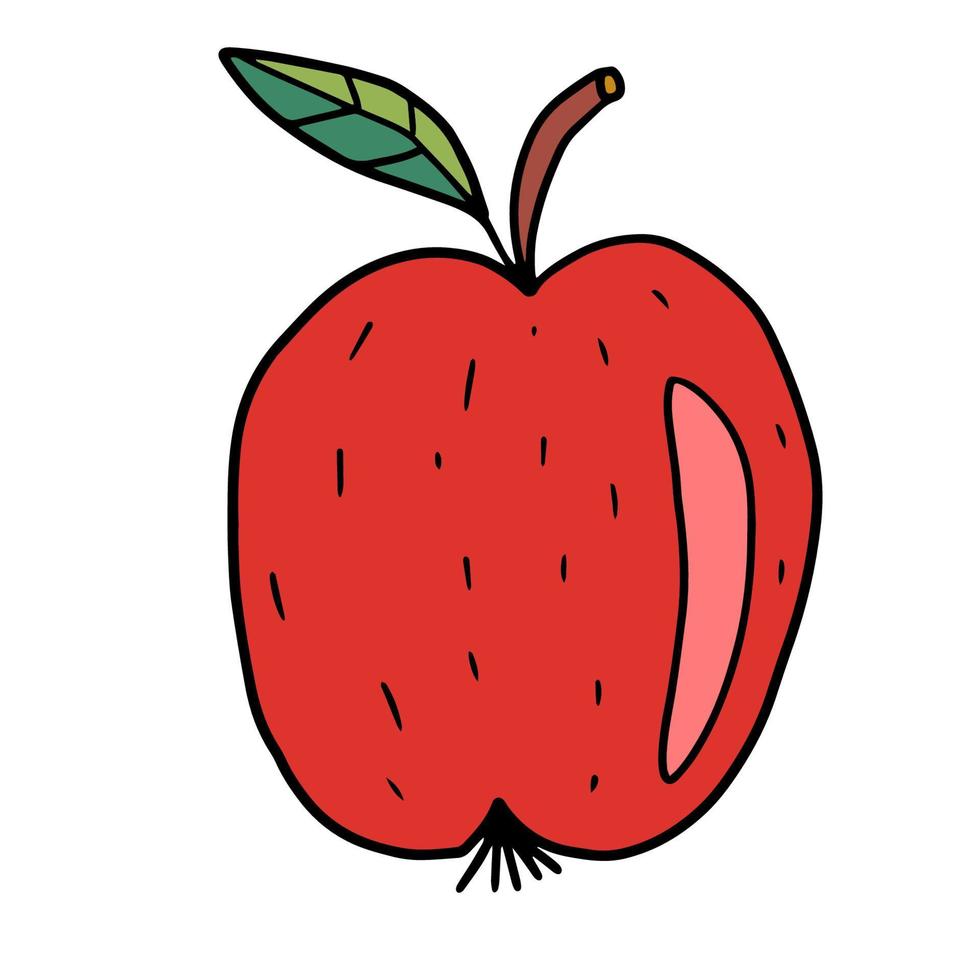 bonito mão desenhada doodle grande maçã com folha isolada no fundo branco. comida ou lanche. vetor