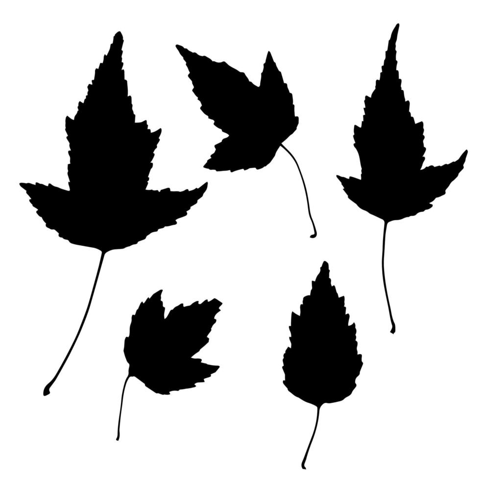 conjunto floral de elementos florais de grunge desenhado de mão negra, galho de árvore, arbusto, planta, folhas, flores, ramos, pétalas isoladas em branco. coleção de elementos de florescer para design. vetor