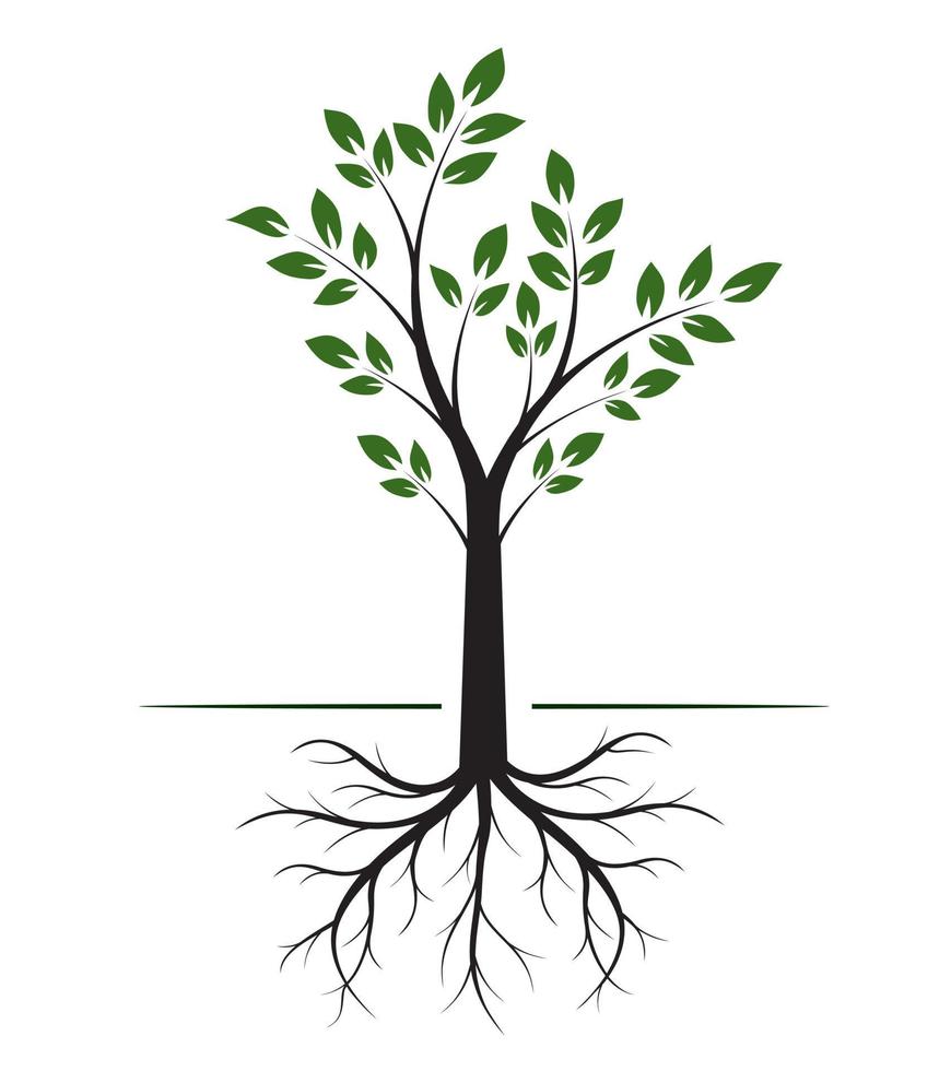 forma de árvore com folhas e raízes. ilustração em vetor contorno. plantar no jardim.