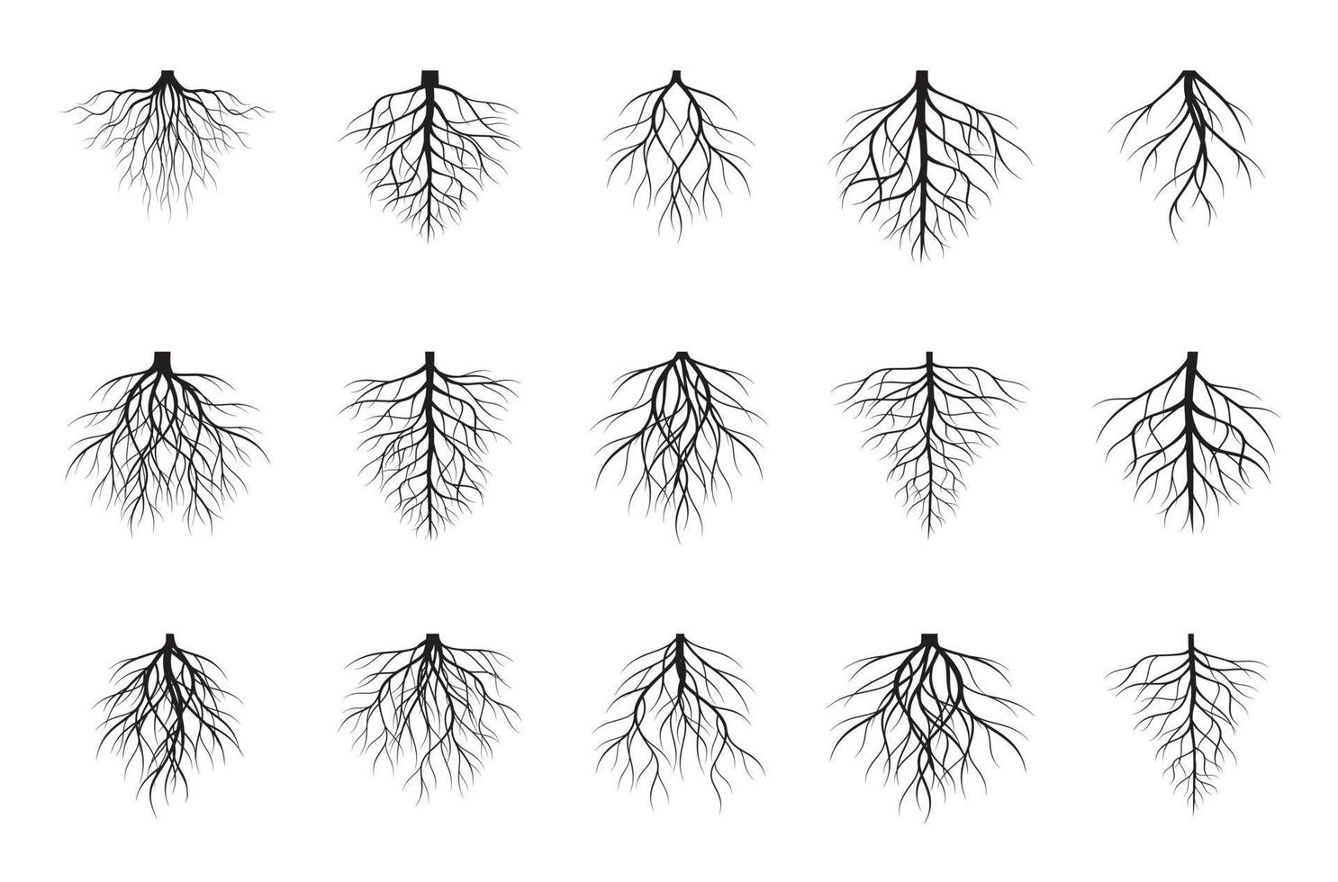 coleção raízes negras. ilustração vetorial. vetor