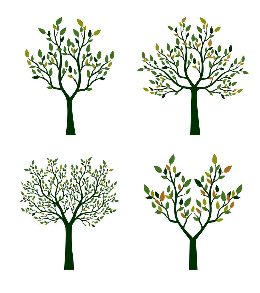árvore com coleção de folhas. ilustração em vetor contorno. plantar no jardim.