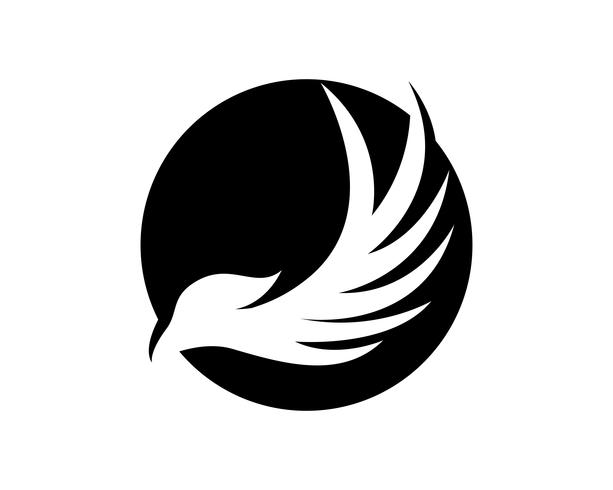 Asas bird sign resumo modelo ícones app vetor