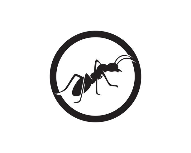 Projeto da ilustração do vetor do molde do logotipo da formiga