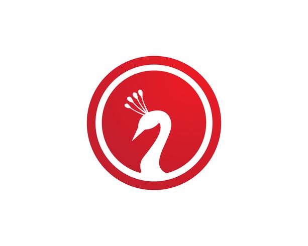 pavão cabeça logotipo e símbolos modelo ícone app vetor