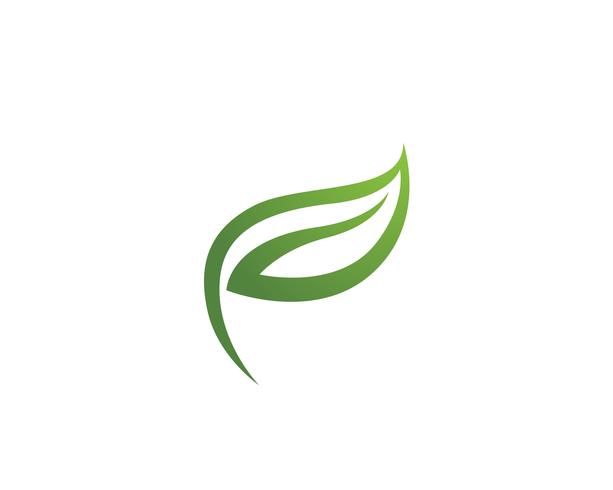 Logos de ecologia de folha de árvore verde vetor
