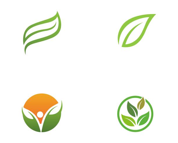 Logos de ecologia de folha de árvore verde vetor