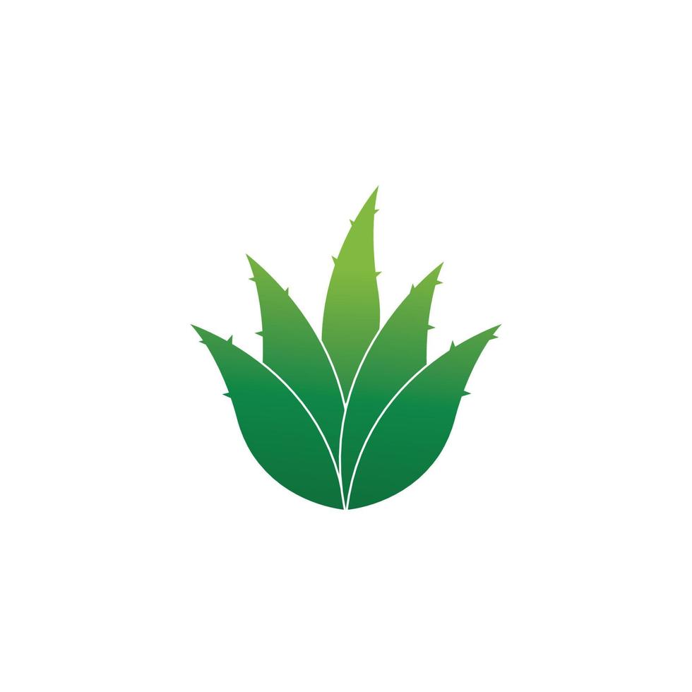 modelo de ilustração vetorial de logotipo de aloe vera vetor