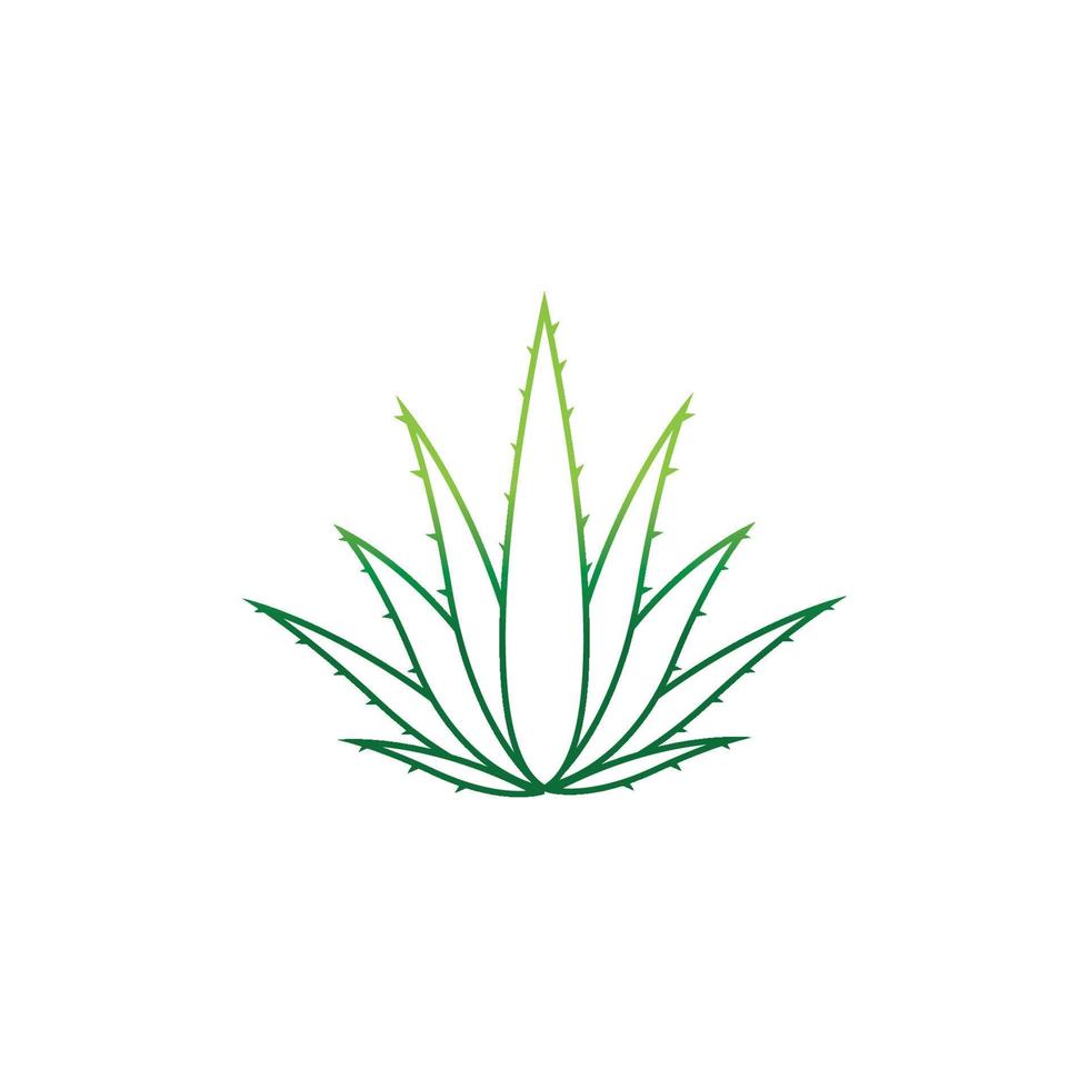 modelo de ilustração vetorial de logotipo de aloe vera vetor