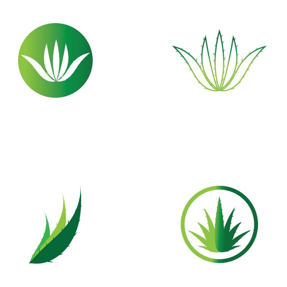 modelo de ilustração vetorial de logotipo de aloe vera vetor