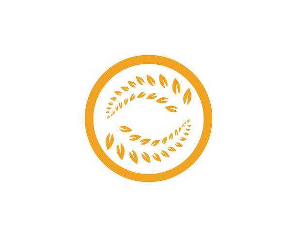 Agricultura trigo logotipo modelo vector design de ícone app