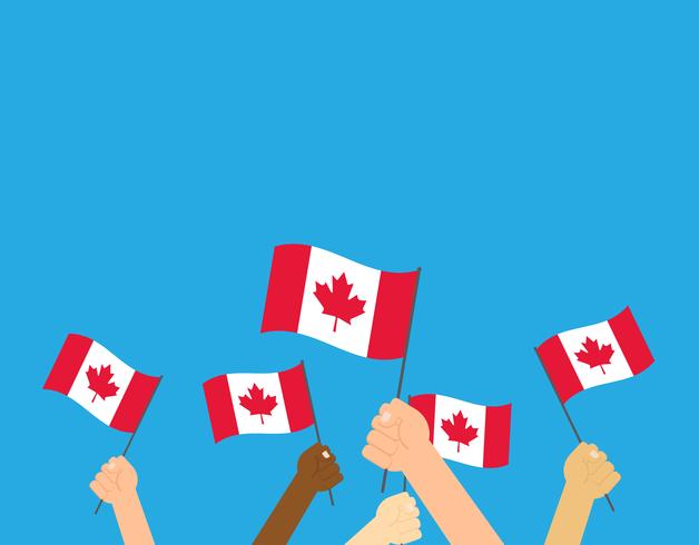 Mãos de ilustração vetorial segurando bandeiras do Canadá em fundo branco vetor