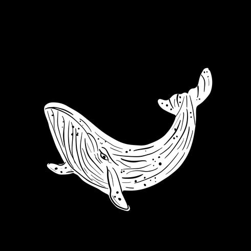 ilustração em vetor sealife baleia azul