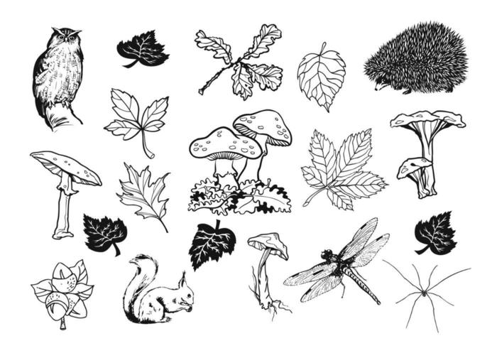 Mão desenhada Natural Fall Vector Pack