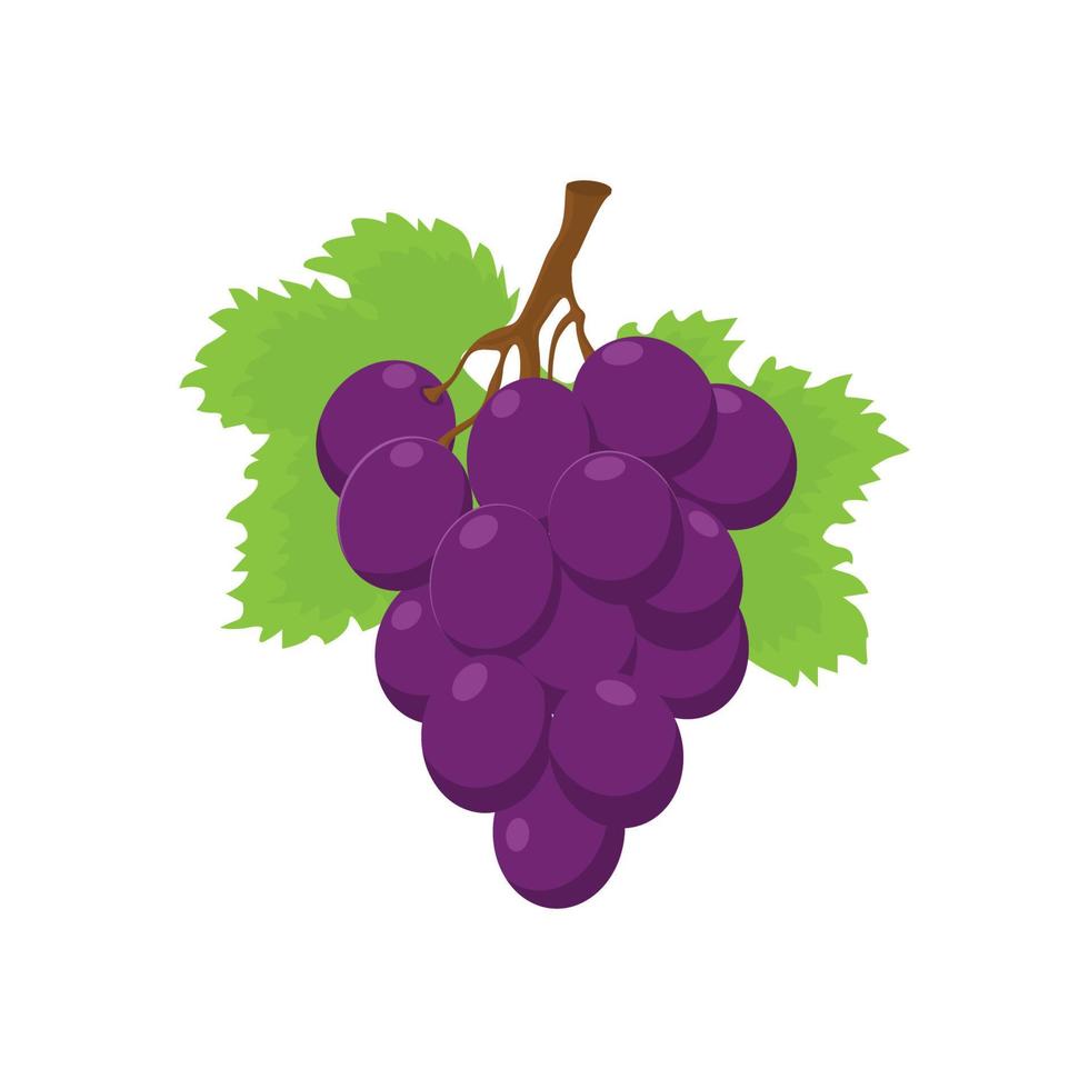 vetor de uma fruta de uvas