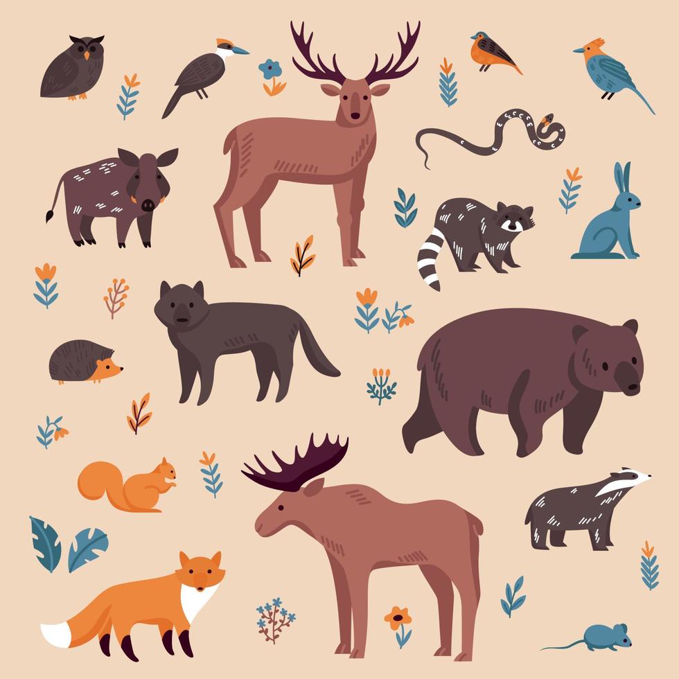 conjunto de cores de animais da floresta vetor