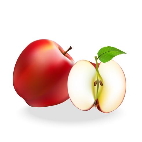 As bolas vermelhas da fruta da maçã são ajustadas em um fundo branco. vetor