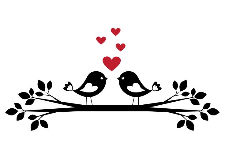 Silhueta de pássaros bonitos no amor vetor