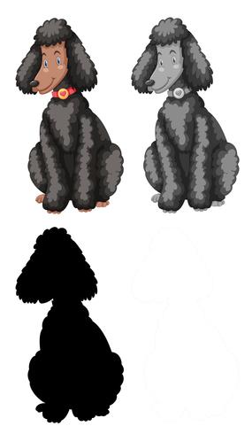 Conjunto de personagem de poodle vetor