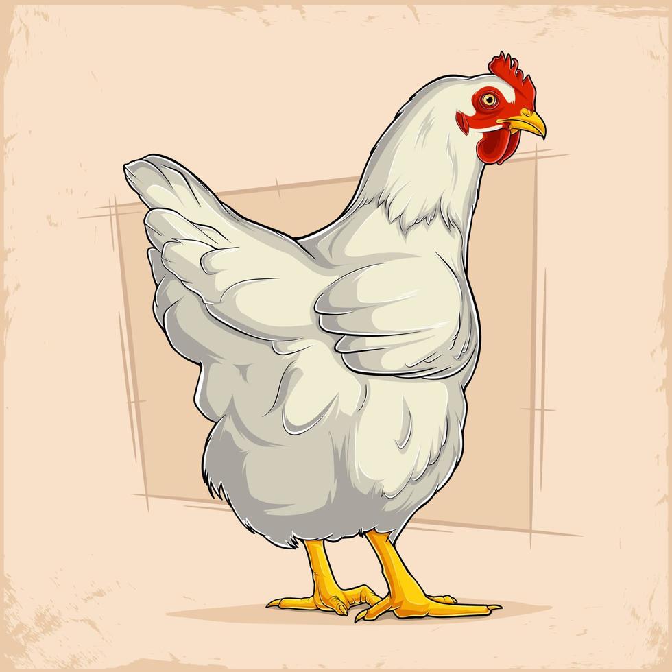 galinha branca desenhada à mão em cores sólidas, galinha branca isolada, animal de fazenda doméstico vetor