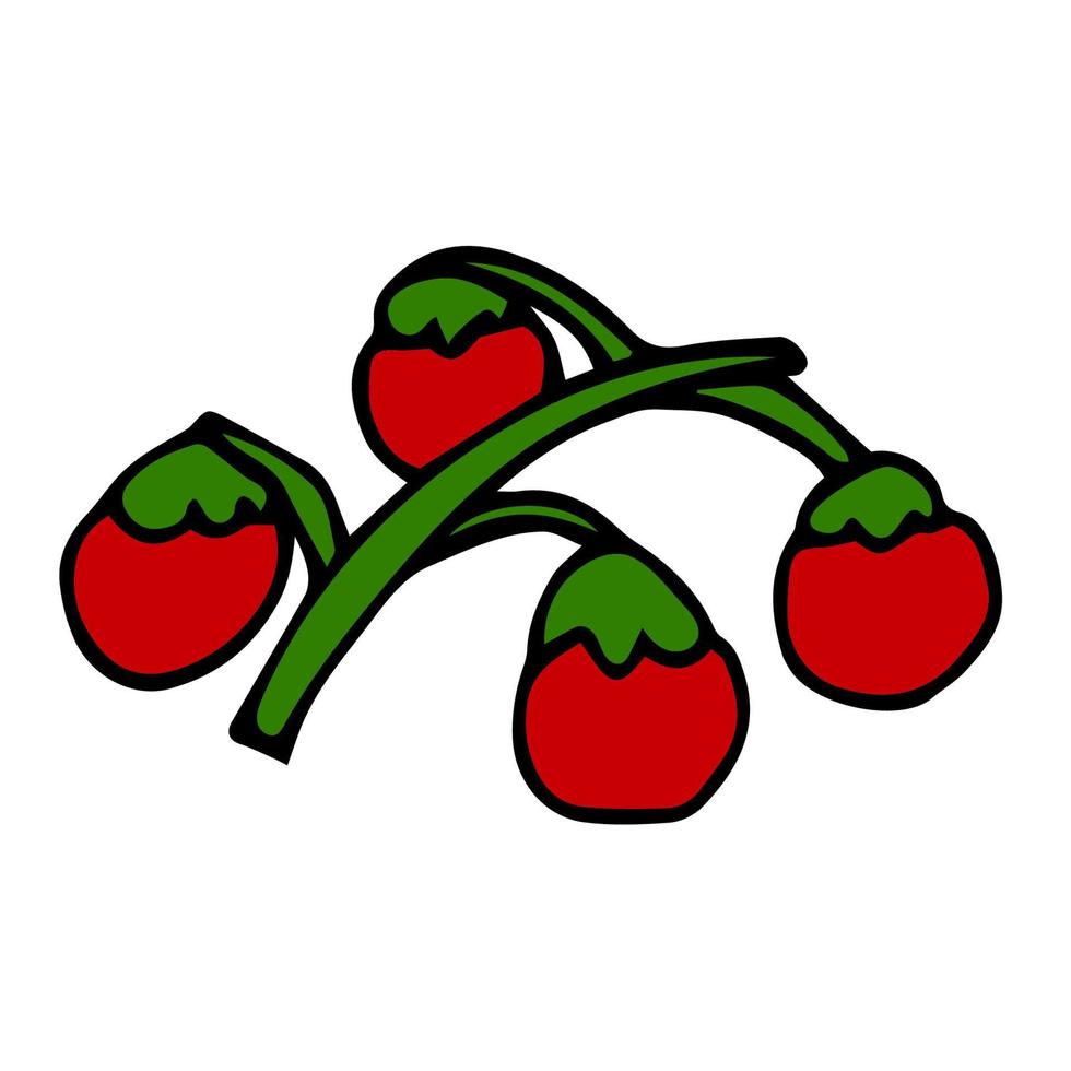 desenho animado doodle tomate linear em um galho isolado no fundo branco. vetor