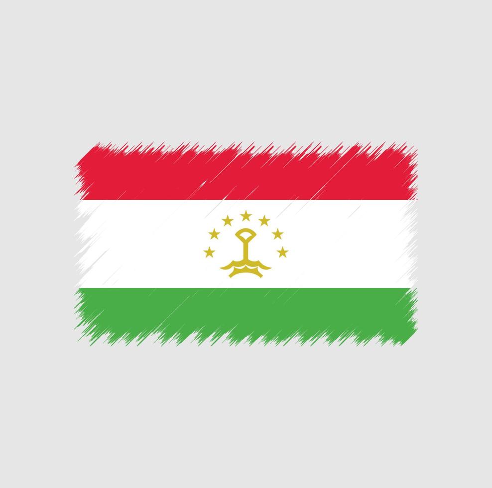 pincelada de bandeira do tajiquistão vetor