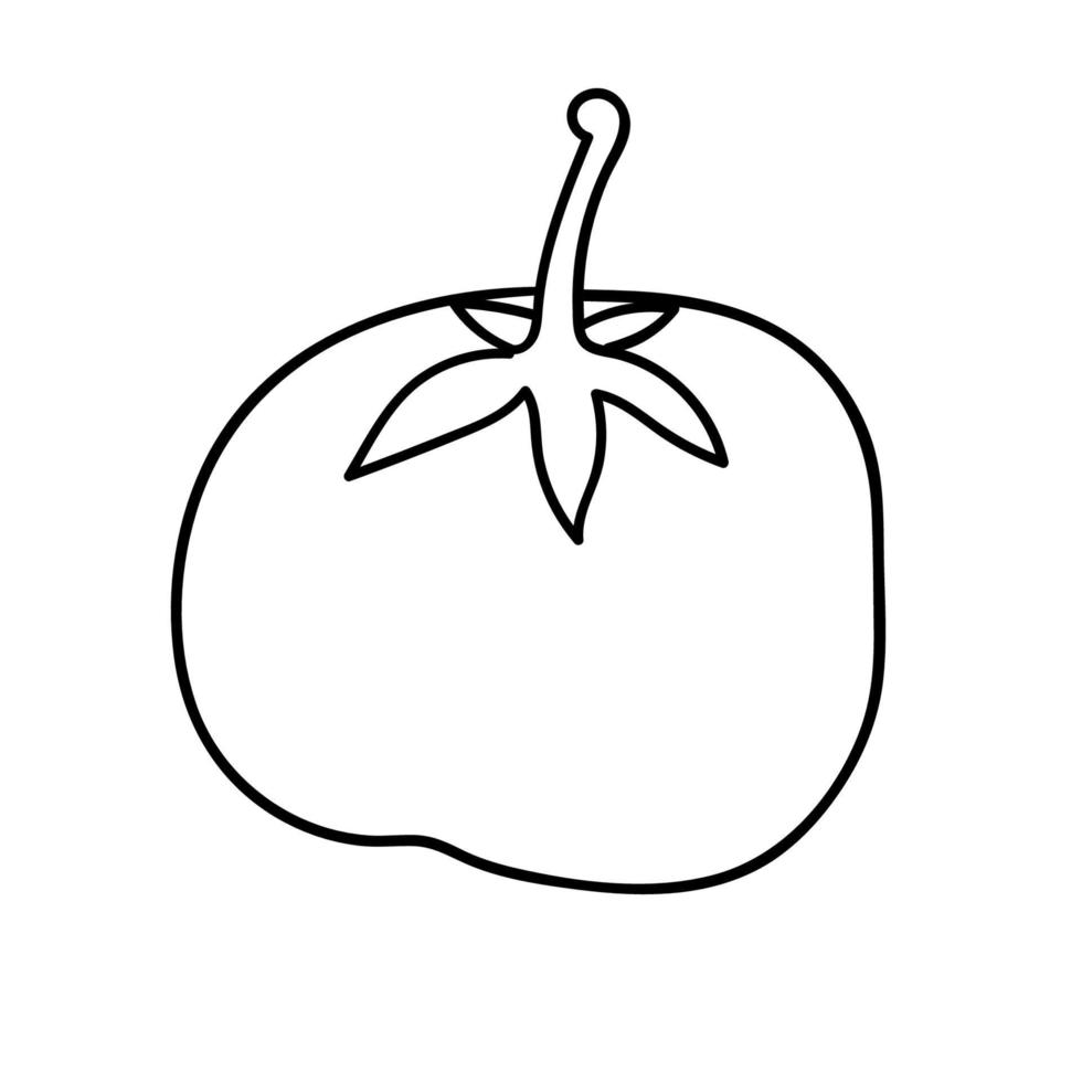 tomate linear doodle dos desenhos animados isolado no fundo branco. vetor