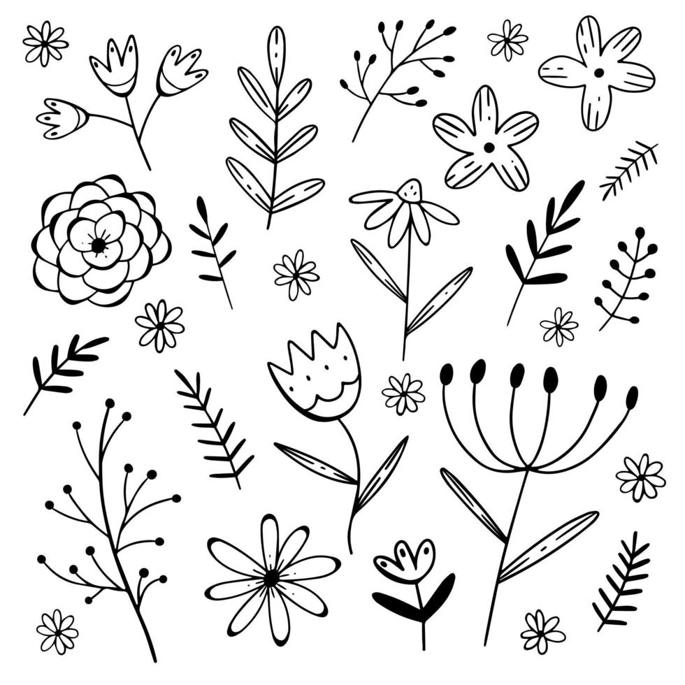 conjunto de vetores de galhos de flores em estilo doodle isolado no fundo branco. mão desenhar ilustração vetorial. coleção de elementos decorativos.