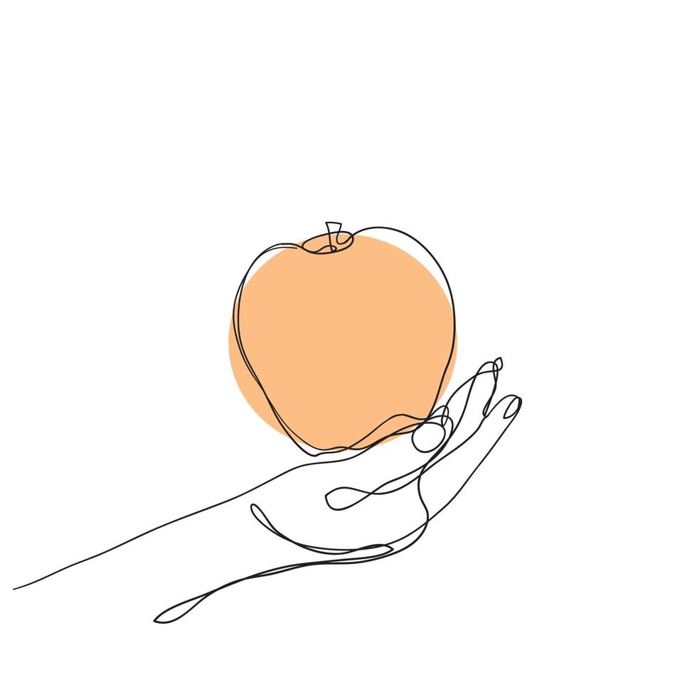 desenho de linha contínua vetor de ilustração de frutas de maçã crua isolado