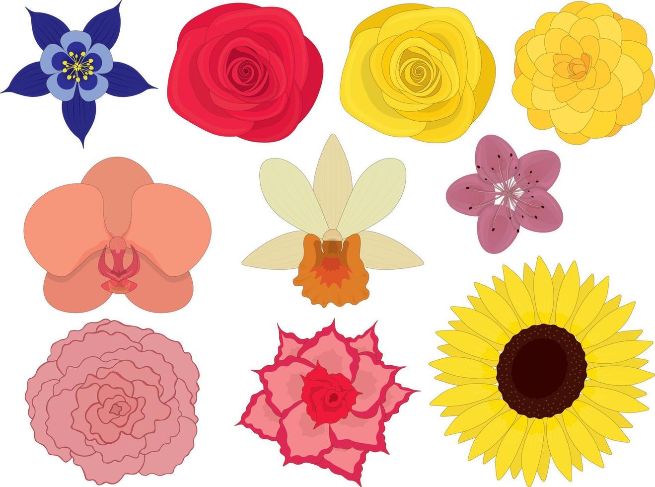 ilustração vetorial de coleção de flores brilhantes multicoloridas vetor