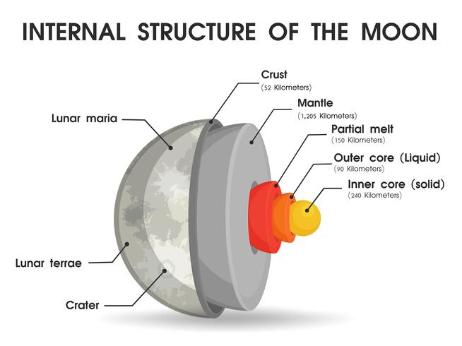 A estrutura interna da lua que é dividida em camadas. vetor