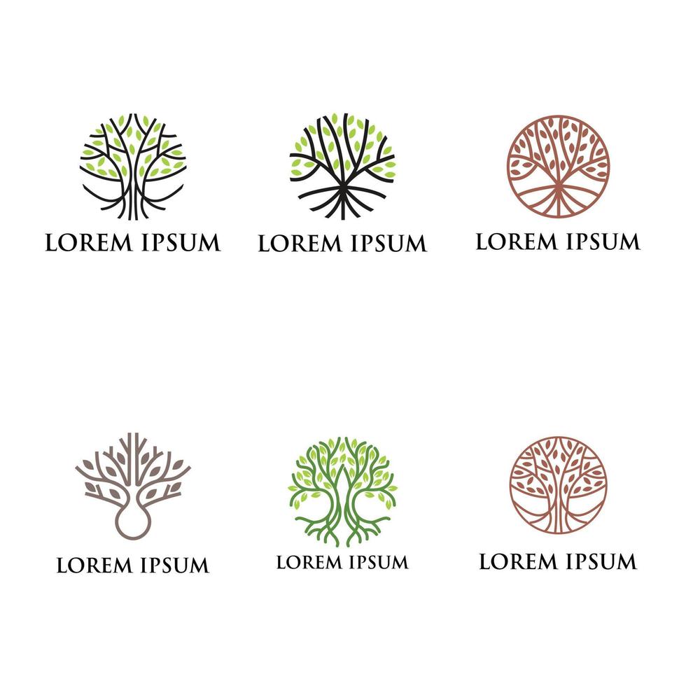 vetor árvore, abeto, madeira, carvalho. conjunto de elementos de design de logotipo, emblemas, etiquetas e modelos de logotipo para o seu negócio