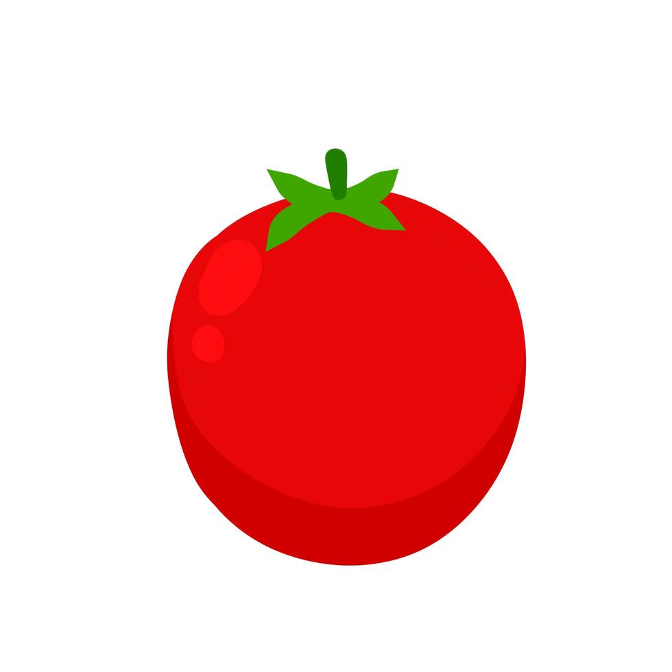 tomate. vegetal vermelho. vetor