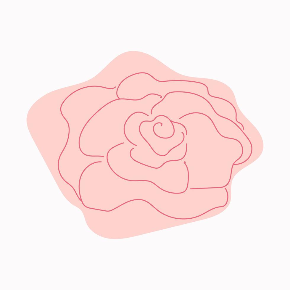 flor rosa, botão isolado no fundo branco vetor