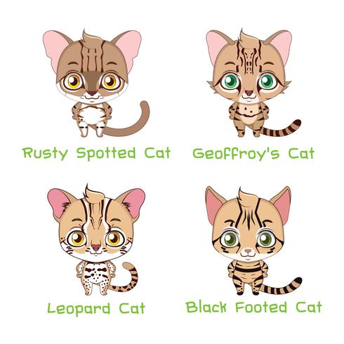 Conjunto de espécies de gatos selvagens de pequeno porte vetor