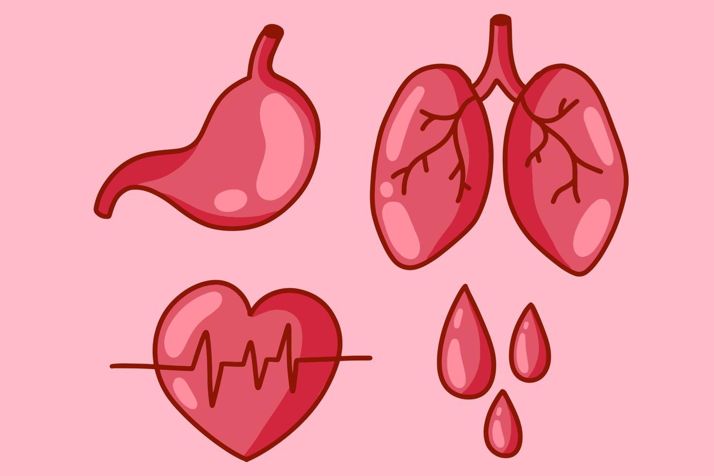 definir órgãos sangues coração pulmões estômago ilustração vetor