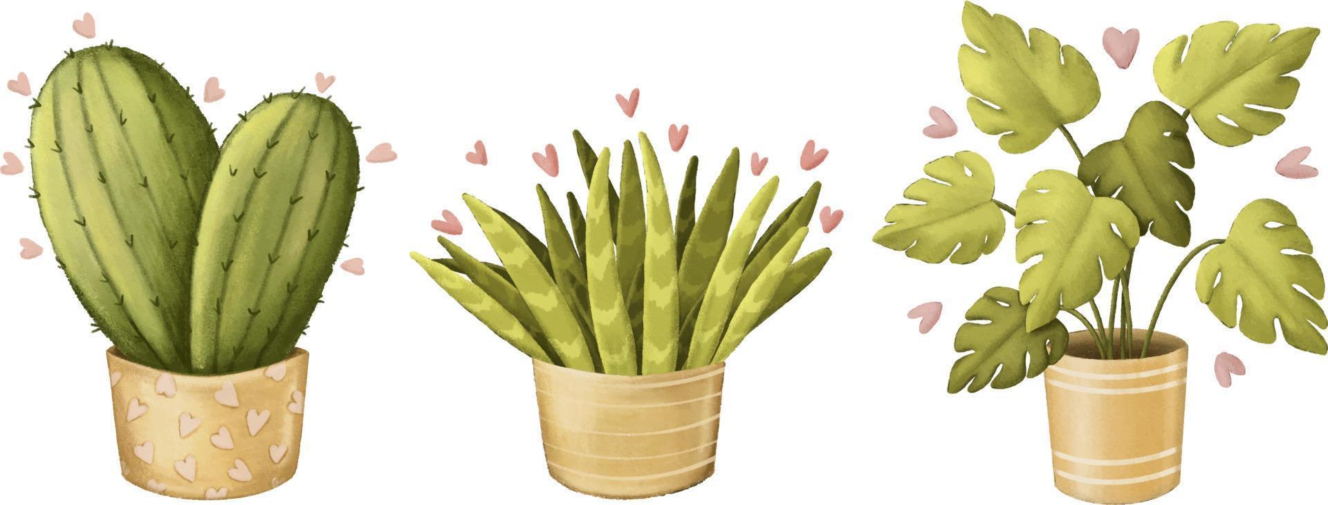 conjunto de clipart de plantas de casa desenhadas a lápis bonito vetor