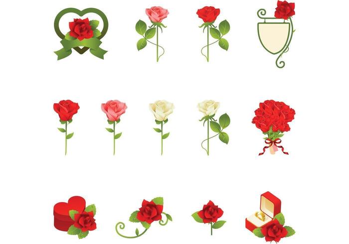 Pacote de vetores de rosas românticas
