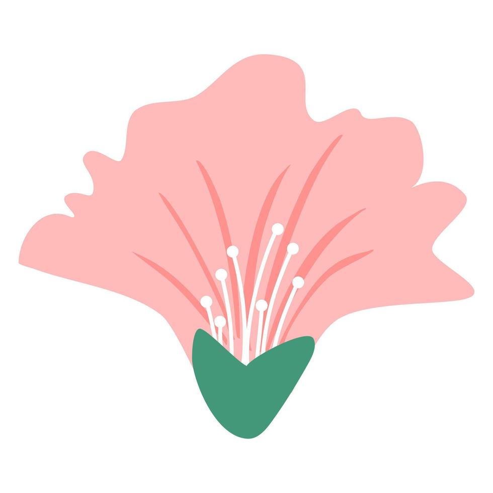 ilustrações de flores cor de rosa vetor