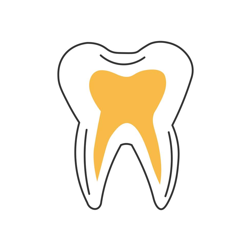 ícone de dente de linha fina elegante sobre fundo branco - vetor