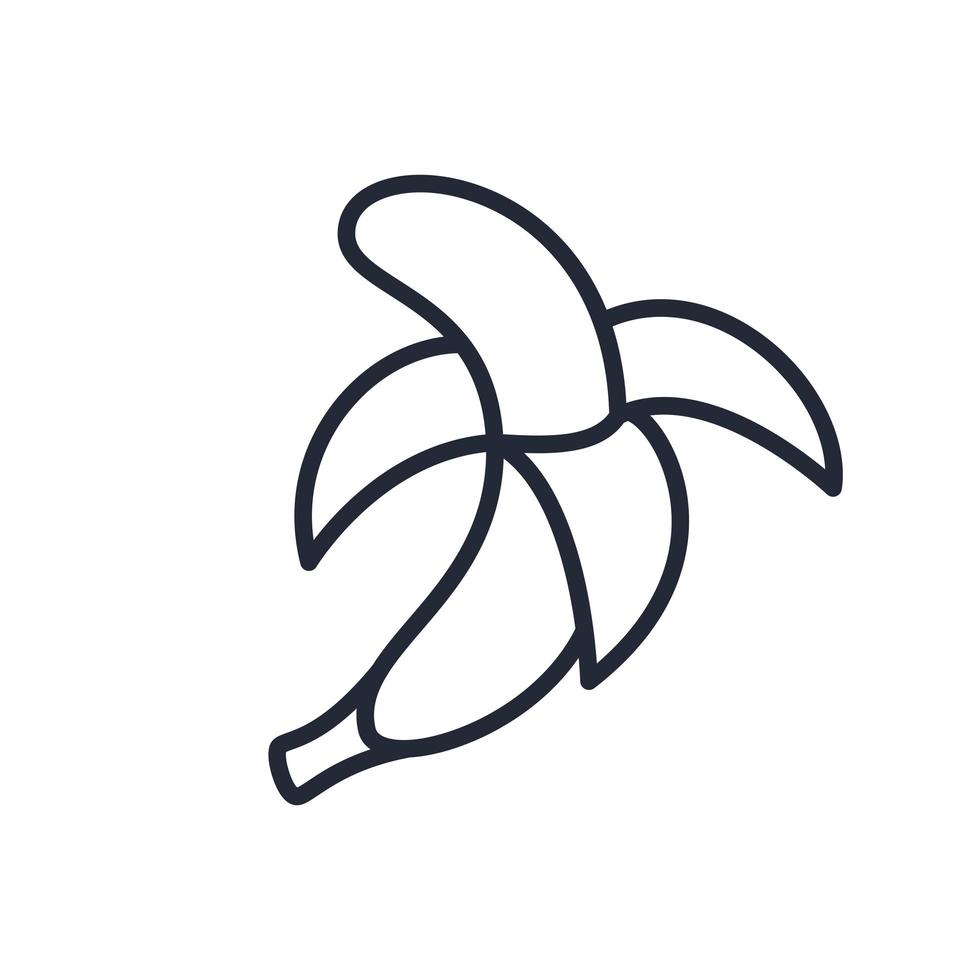 ícone de banana de linha fina elegante isolado no fundo branco - vetor