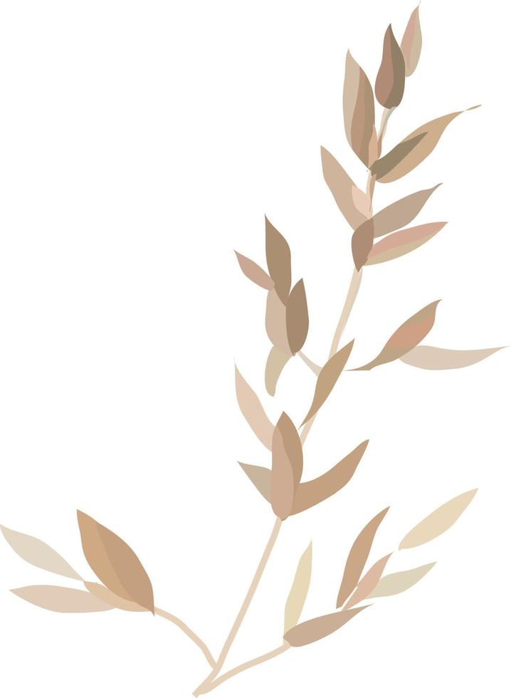 aquarela leaves.elements de nature.vector. vetor