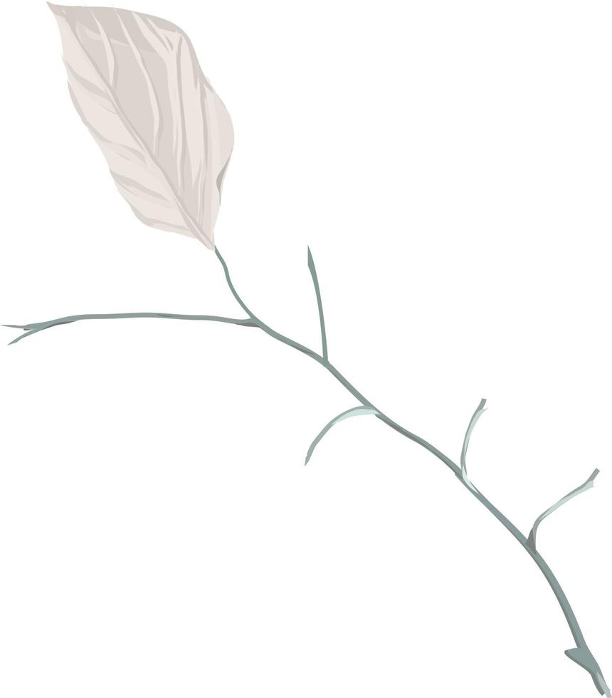 aquarela leaves.elements de nature.vector. vetor