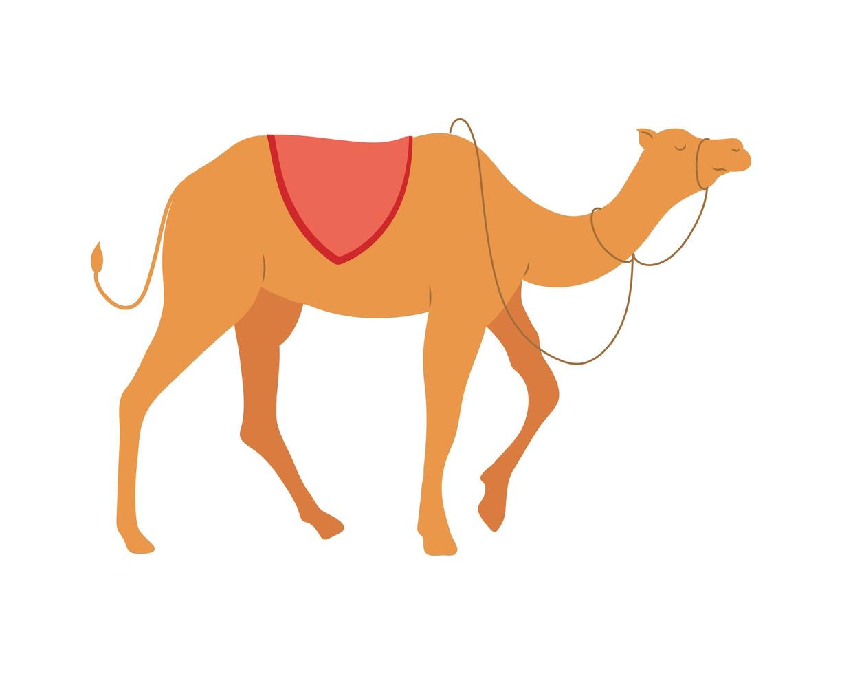 camelo manjedoura andando vetor