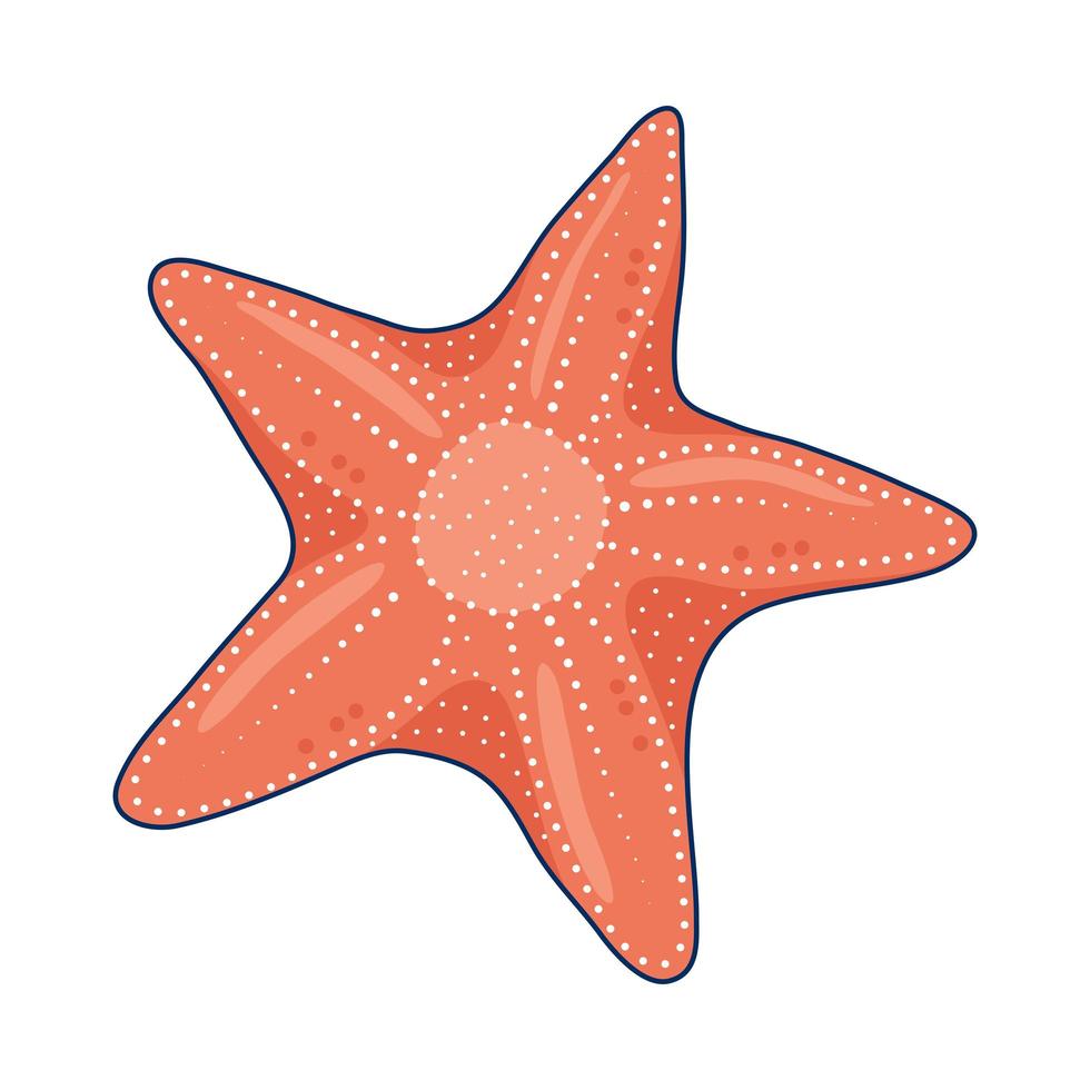 estrela do mar rosa vetor
