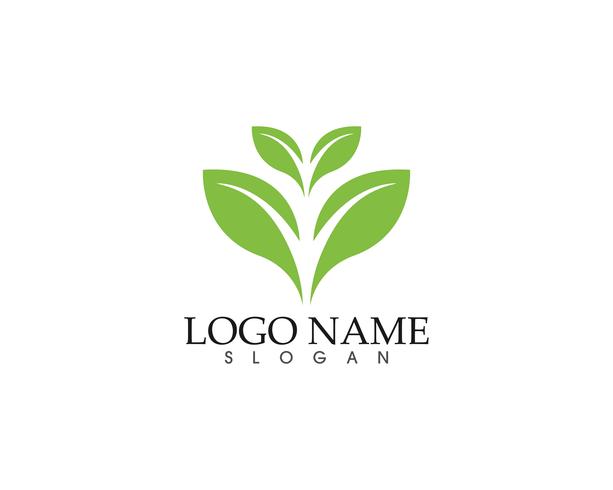 Logotipo de ícone de vetor de ecologia e modelo de símbolo