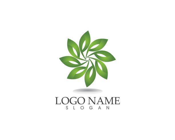 logotipo de natureza verde folha e modelo de vetor