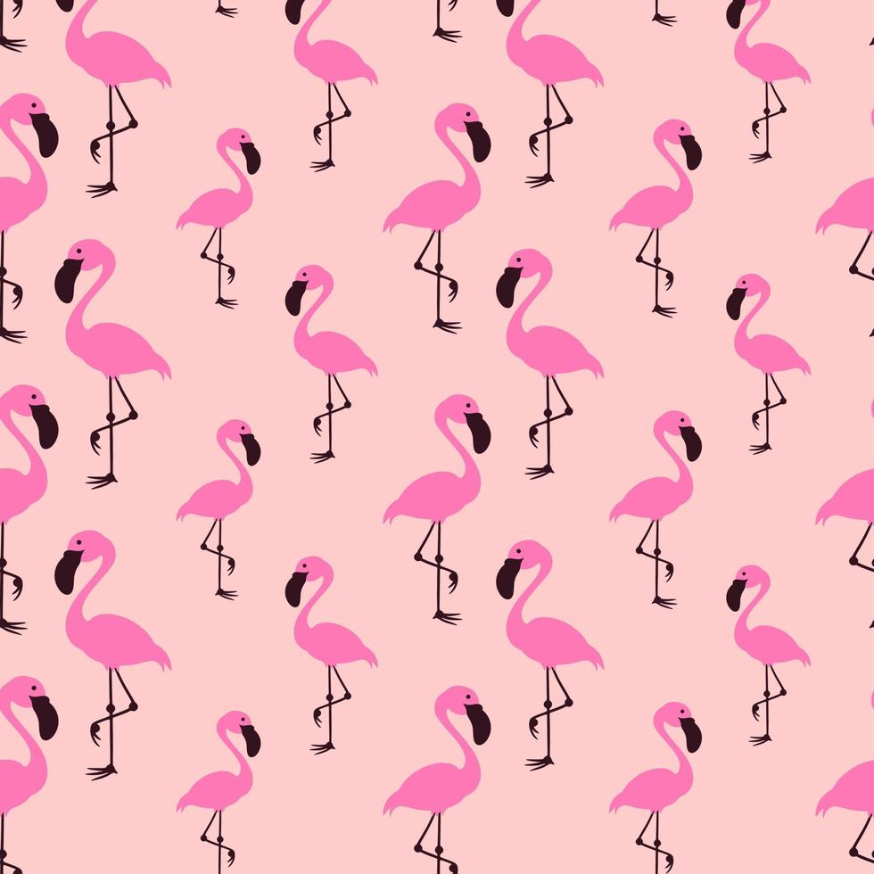 fundo de padrão de vetor sem costura flamingo