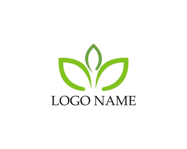 Logotipos de folha verde ecologia natureza elemento vector ícone