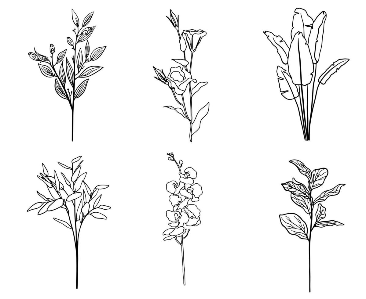 conjunto vetorial de folhas exóticas e flores desenhadas em uma linha. conjunto de palmas de linha única. doodle ilustração floral tropical. vetor