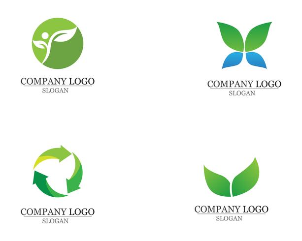 modelo de logotipo e símbolo de folha verde natureza Vector app